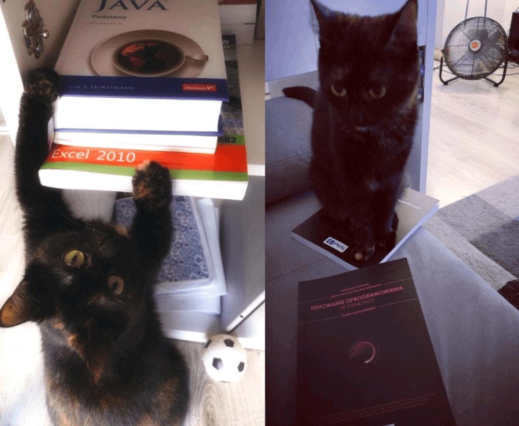 Czarny kot wśród branżowych książek.
