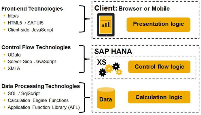 SAP HANA XS basic approach