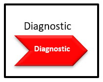 Faza diagnostyki (Diagnostic)