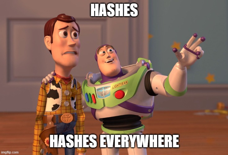 A meme. A frame from the Toy Story movie with worried Woody and wistful Buzz pointing into space and saying: Hashes; Hashes everywhere.