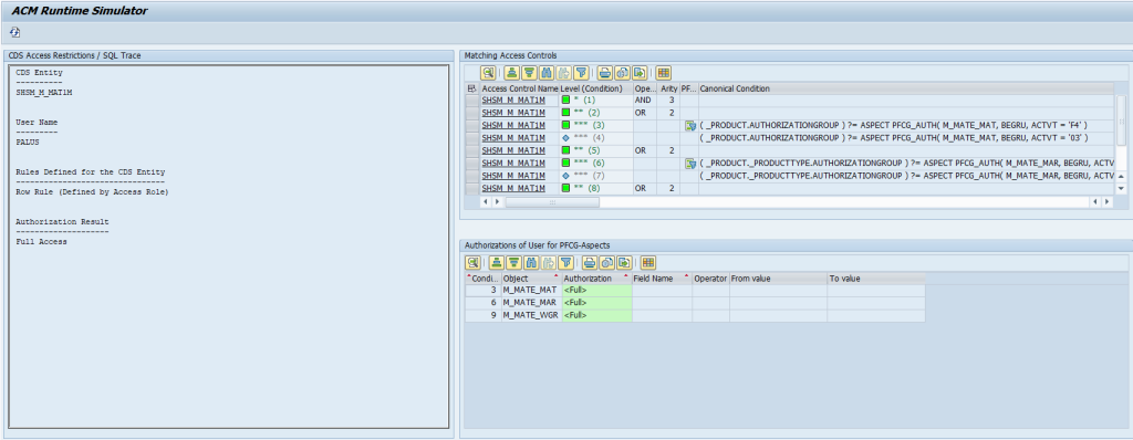 ACM Runtime Simulator – results of Access Simulation to CDS view for a user with full access