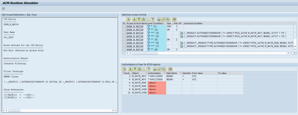 ACM Runtime Simulator – results of Access Simulation to CDS view for a user with limited access