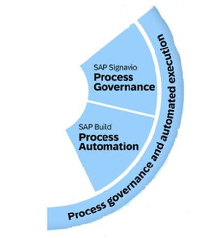 Process governance and automated execution